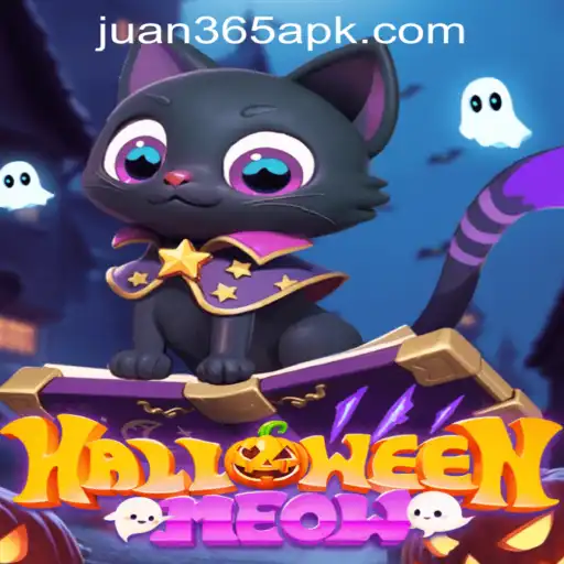 Unmasking the Spooktacular World of HalloweenMeow Amidst Global Tides